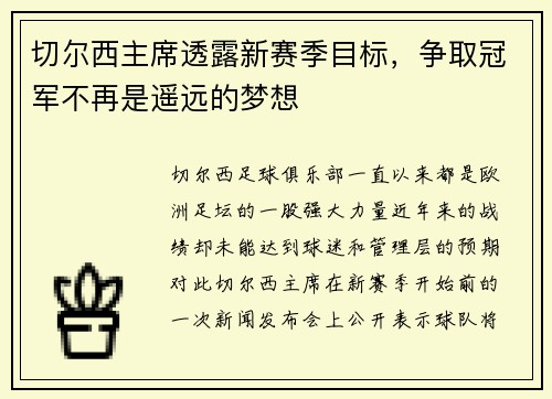 切尔西主席透露新赛季目标，争取冠军不再是遥远的梦想